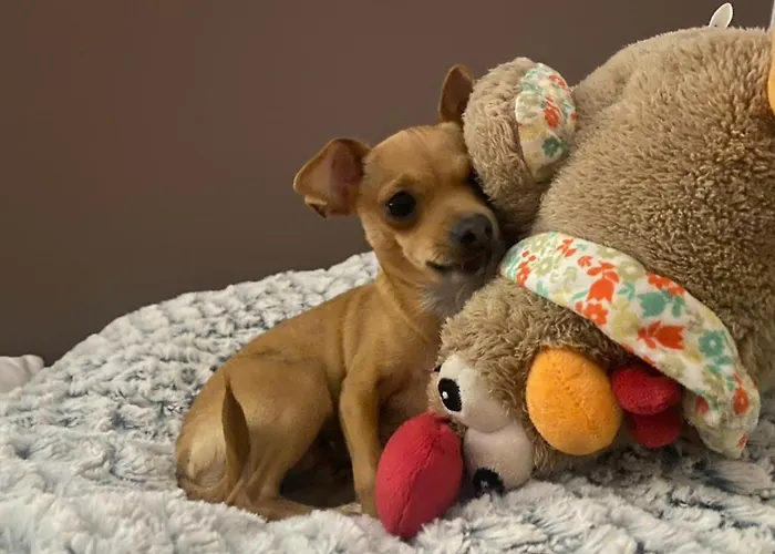 Chez Jean